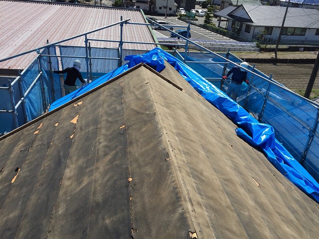 ブルーシート養生作業中